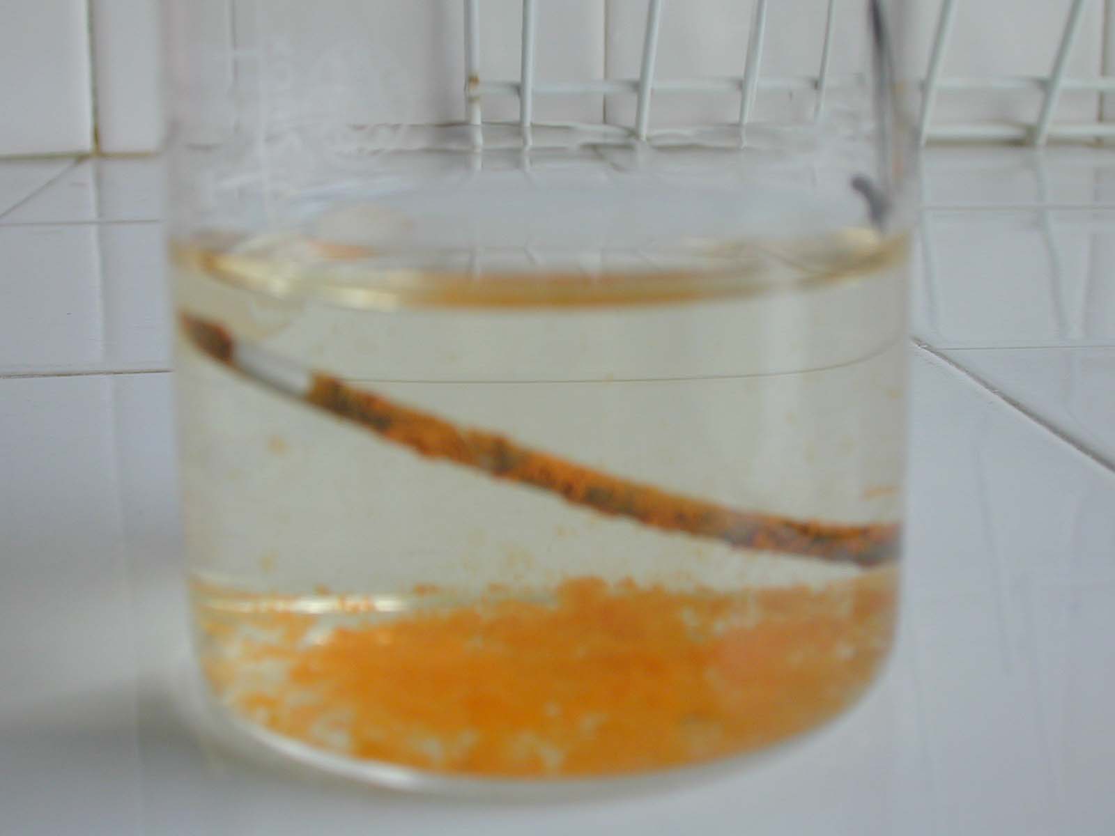 clous becher1.JPG (59503 octets)