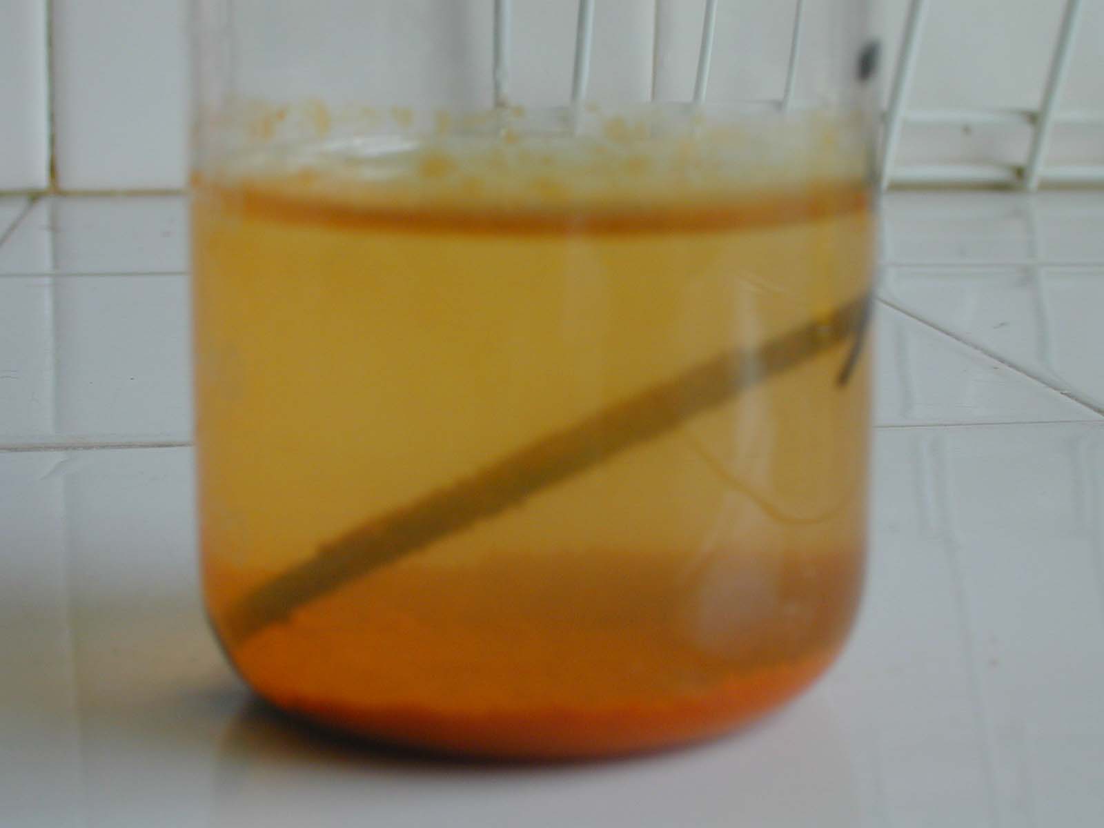 clous becher3bis.JPG (55826 octets)