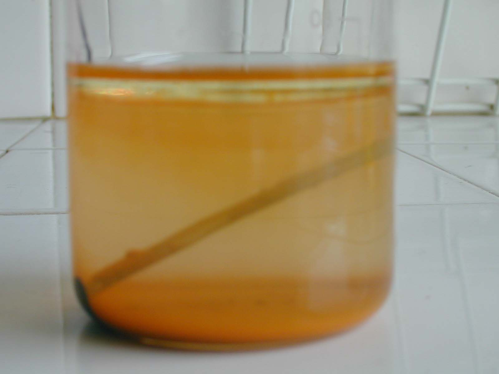 clous becher4.JPG (56198 octets)