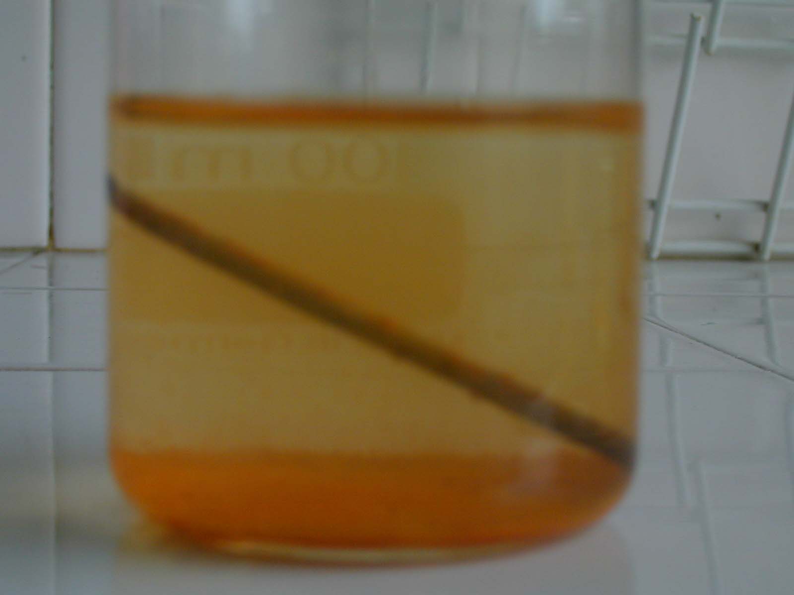 clous becher5.JPG (56466 octets)