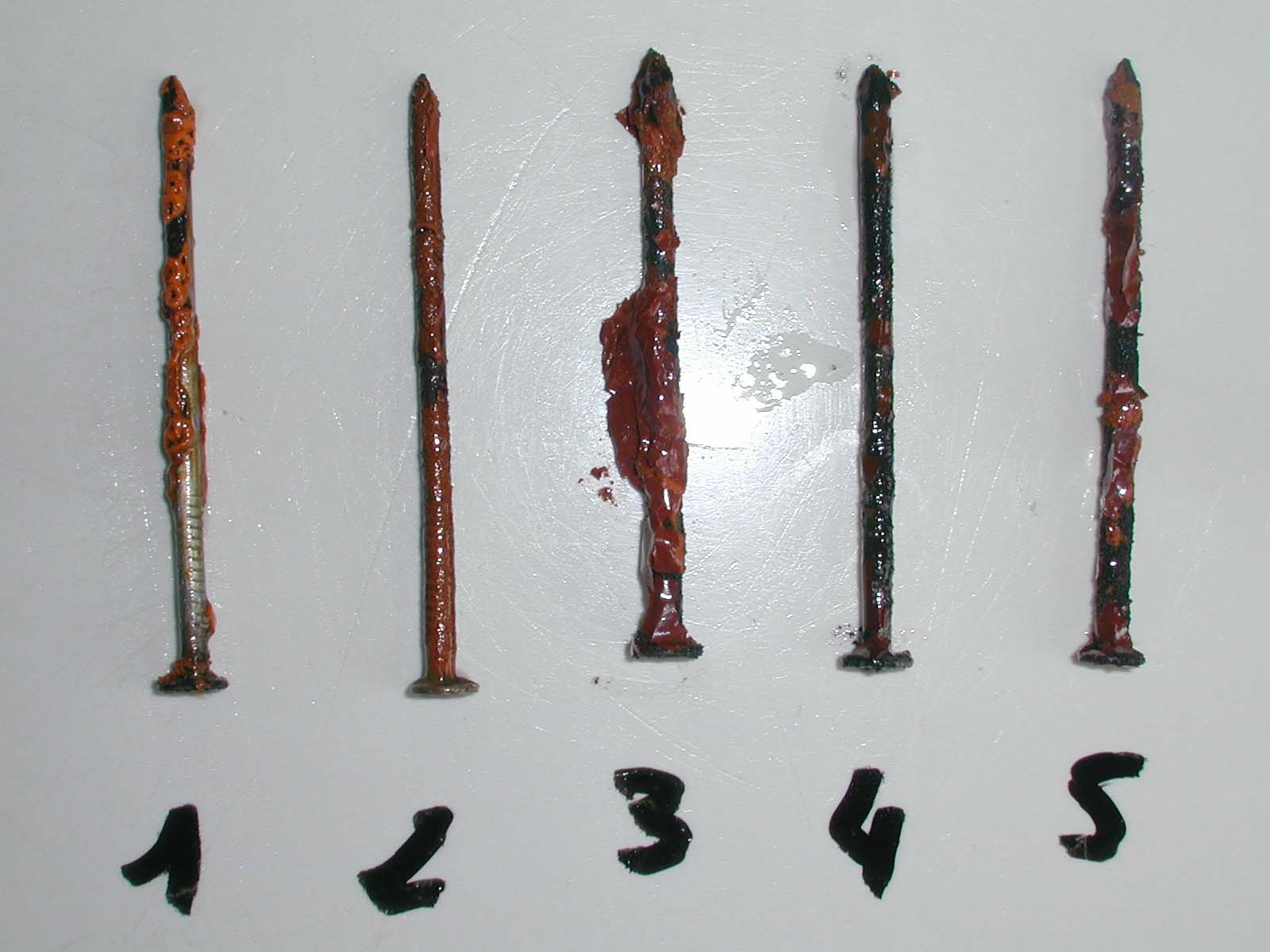 clous2.jpg (117443 octets)