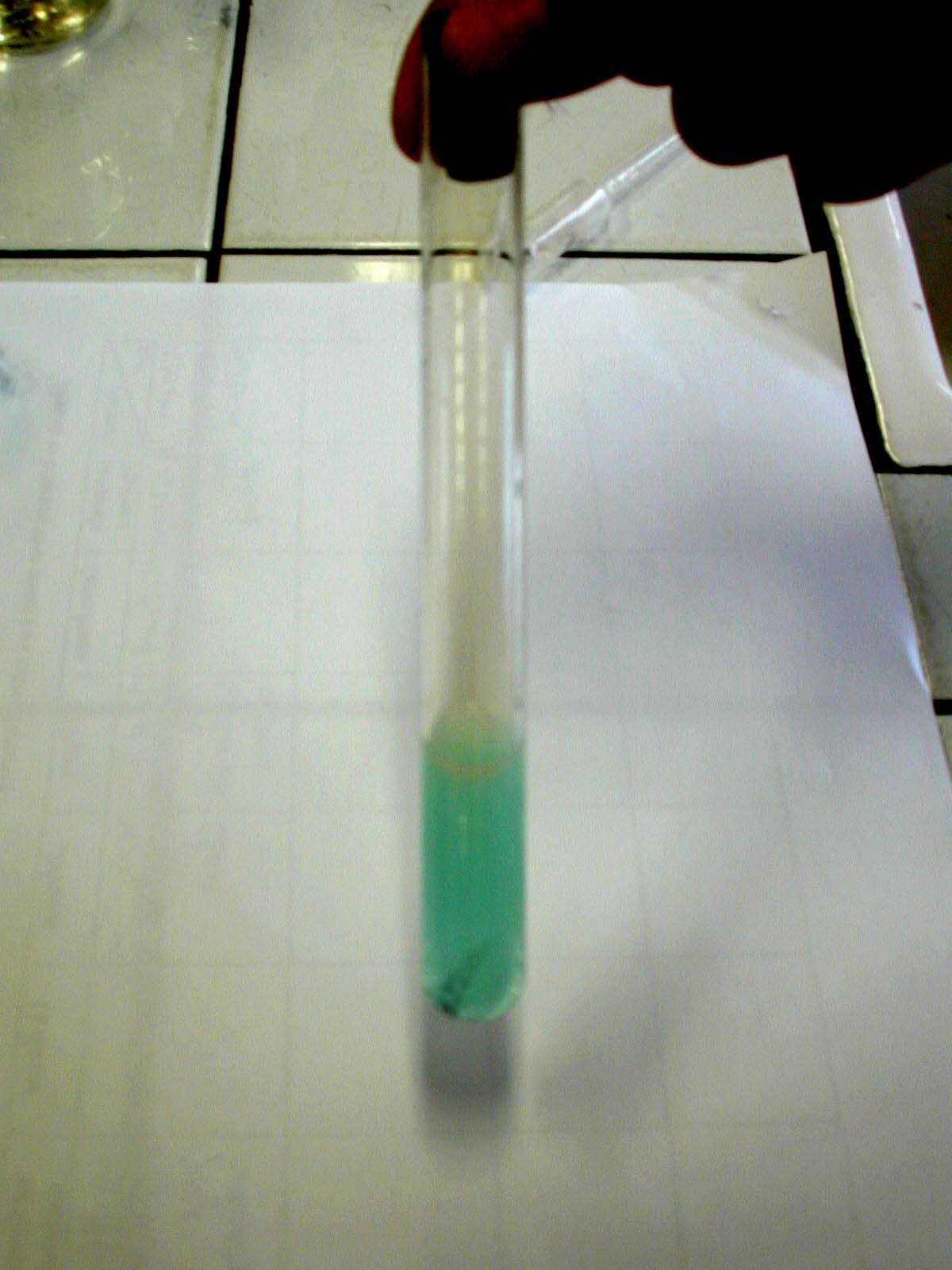 nitrate1.jpg (107065 octets)