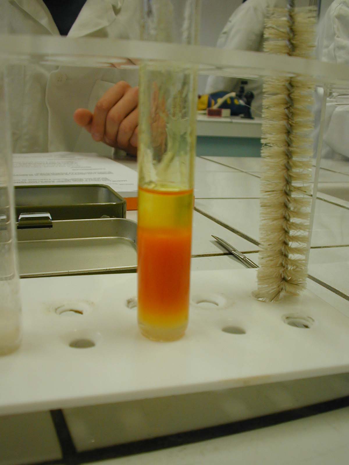 ethanalsoudeorange2.JPG (85861 octets)