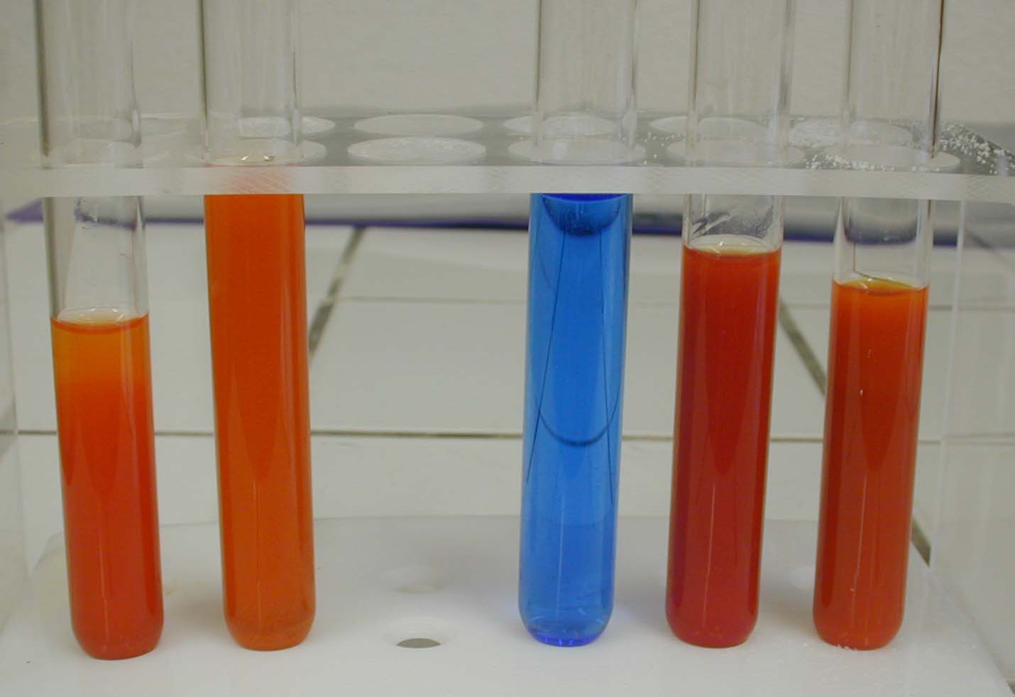 ts les tubes.JPG (59575 octets)