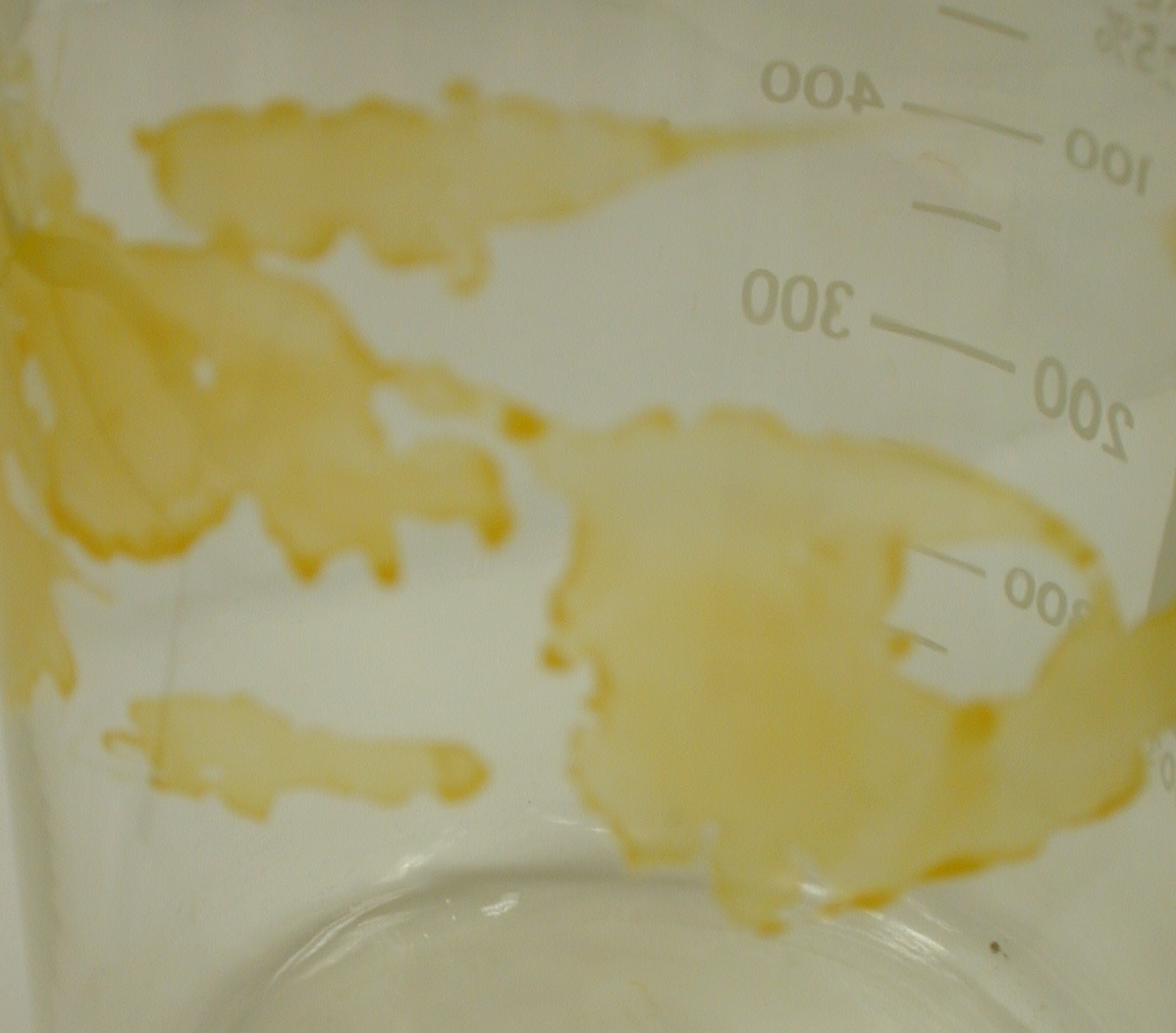 dnpH.jpg (623288 octets)