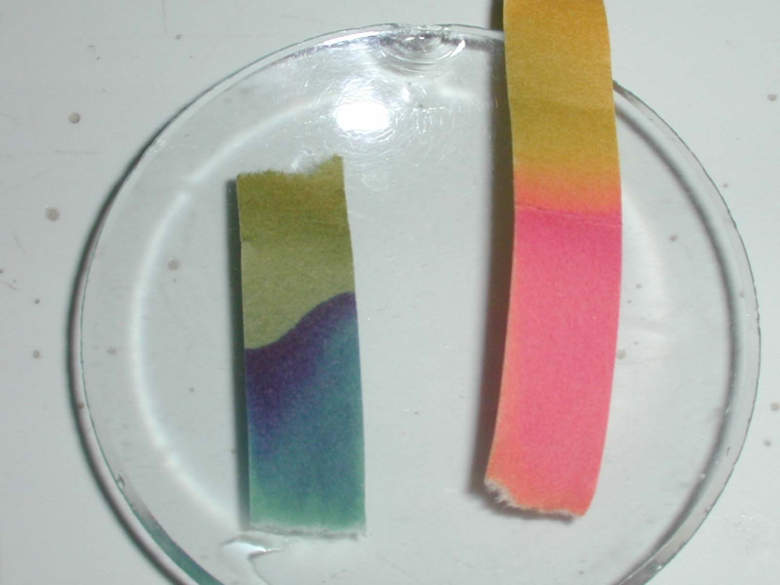 papierpHcomparaison.JPG (77062 octets)